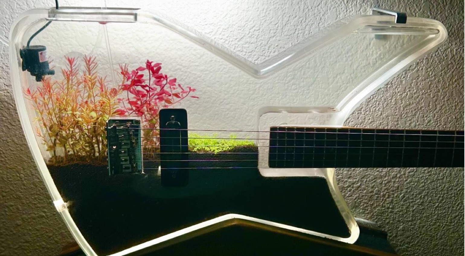 Aquarium Guitar: A Fishy Fender? Burls Art