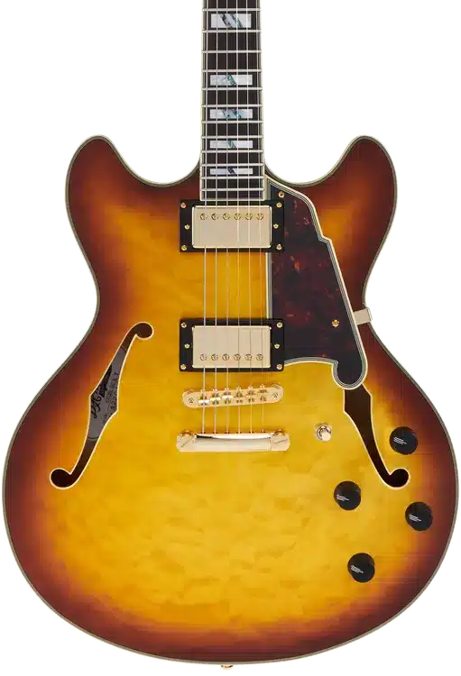 D'Angelico Excel DC XT Semi-hollowbody Electric Guitar